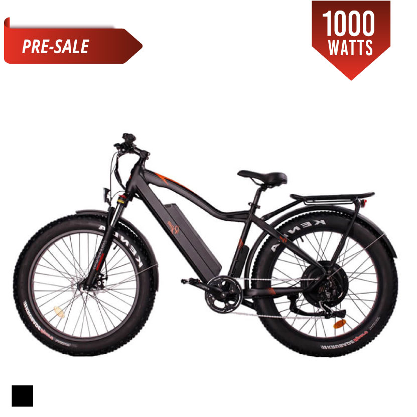 r martin electric bike