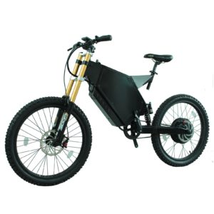 fat tire folding electric bike