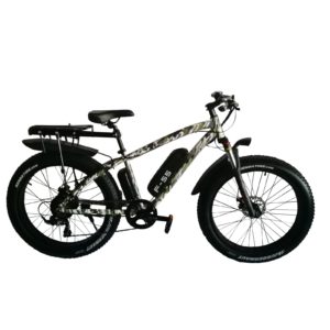 fat tire electric bike 1000w