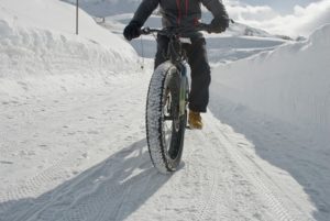 fat tire electric bike