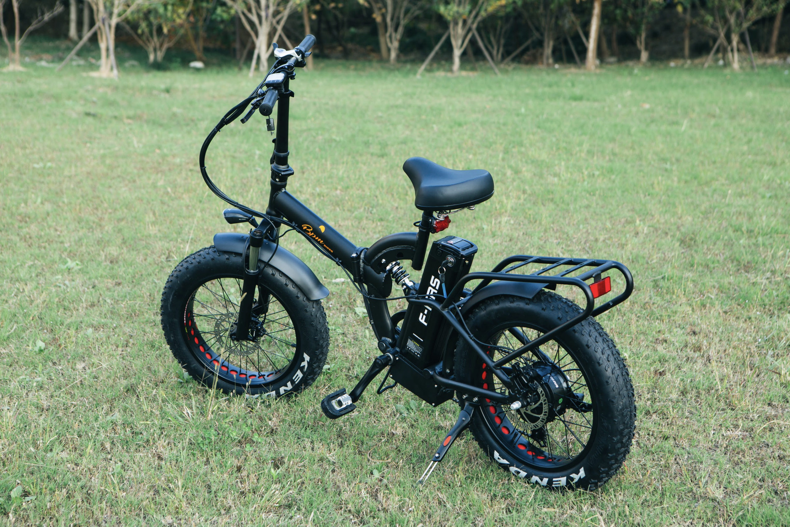 F15-RS 1000W Suspension folding fat tire electric bicycle