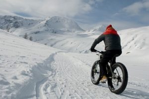 fat tire ebike