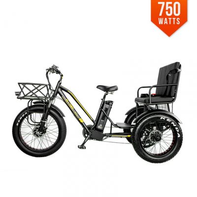 750 watt folding e bike
