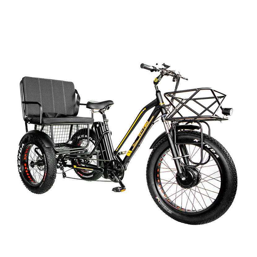 tricycle with back seat