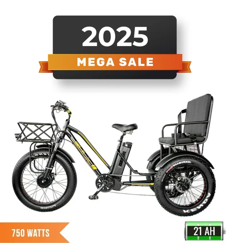 R-750Z 750W Rickshaw HEAVY DUTY Electric Fat Tire Tricycle With Rear Seat