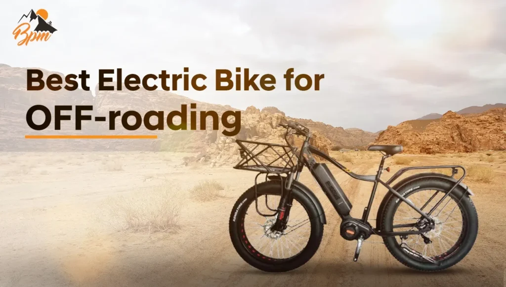 F-1000 Fat Tire Electric Bike