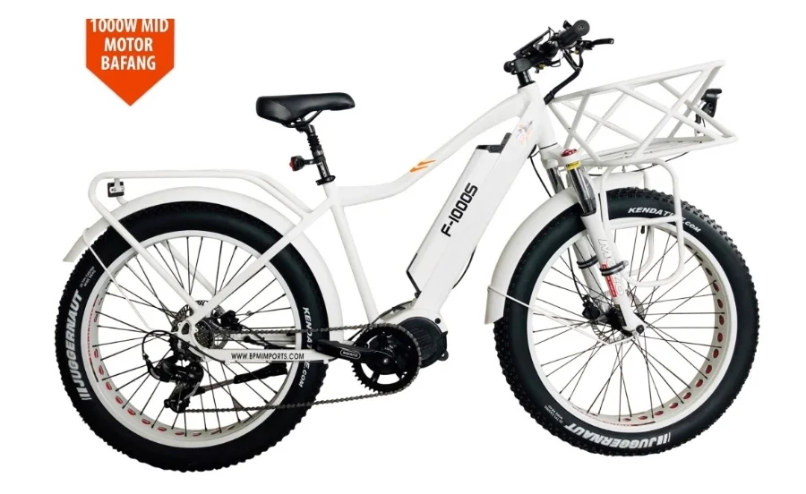 Best 1000 Watt Mid Drive ebike Under 2500 BPM Imports