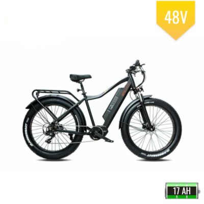 F-95S Mid Drive Fat Tire Electric Bike with Rack