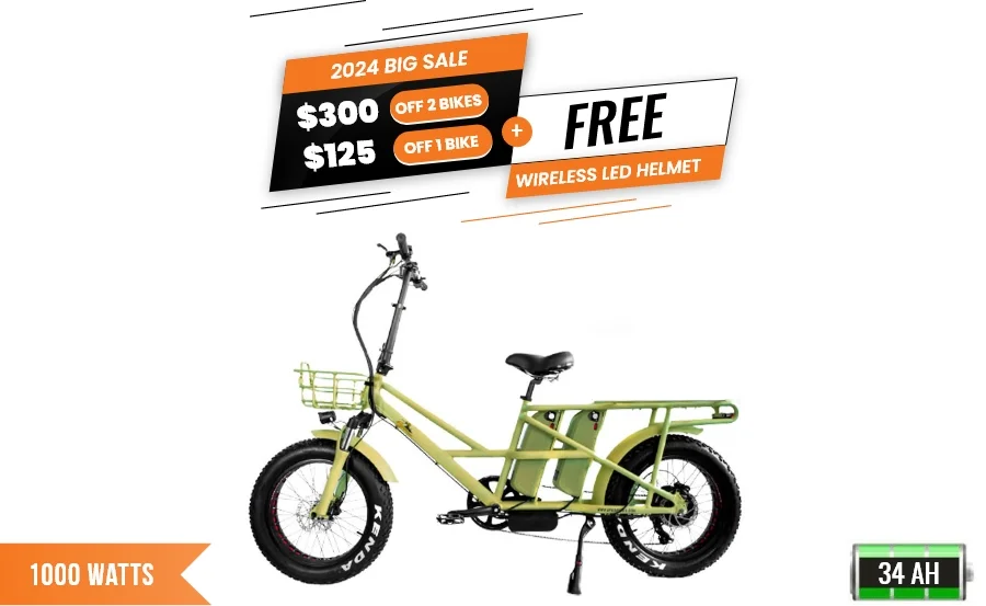 Bpm Bikes F 16 Dual Batteries 1000W Fat Tire Electric Tricycle