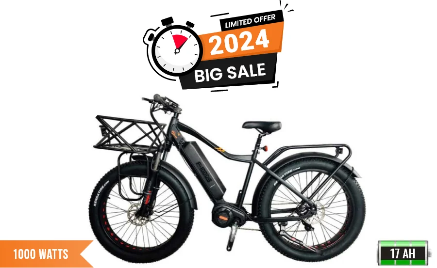 Best 1000 Watt Mid Drive ebike Under 2500 BPM Imports