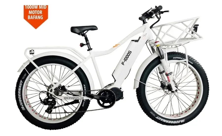 F-1000 Fat Tire Electric Bike