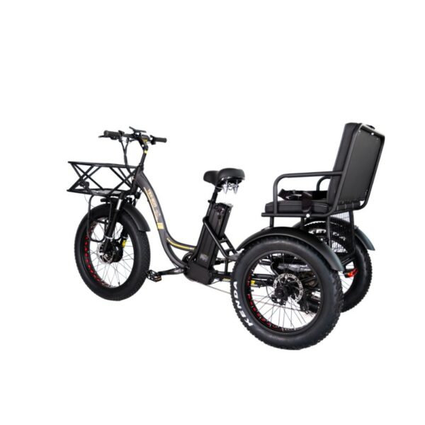 electric tricycle