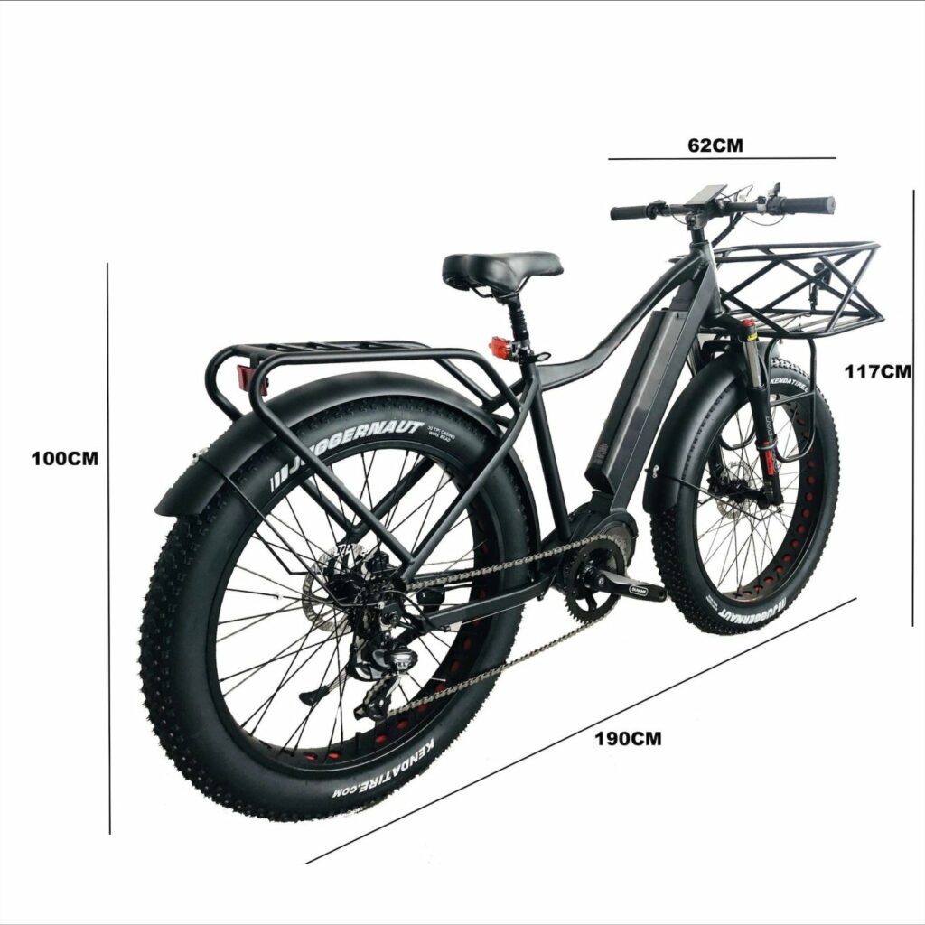 fat tire electric bike