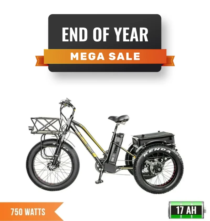 Bpm Bikes T 950 Fat Tire Electric Tricycle Rear Storage