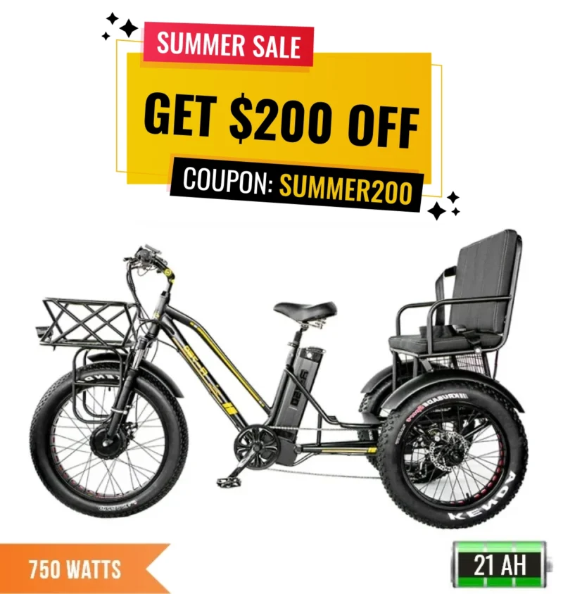 R-750Z 750W Rickshaw HEAVY DUTY Electric Fat Tire Tricycle With Rear Seat