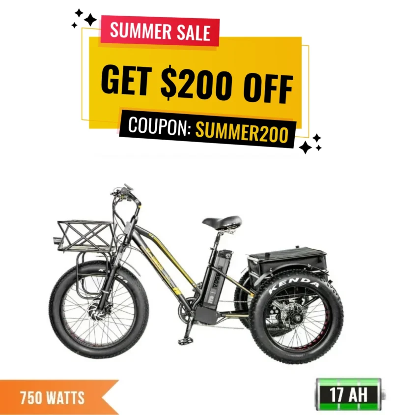T-950 750W Electric Fat Tire Tricycle with Rear Storage