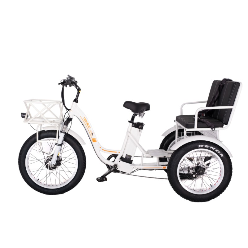 main white electric tricycle 750