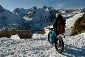 fat tire electric bike