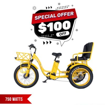 electric tricycle 750w