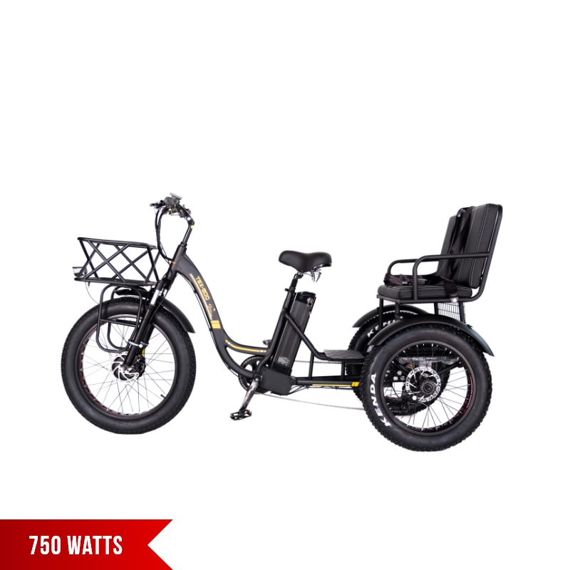 TSX-900 electric tricycle 750w